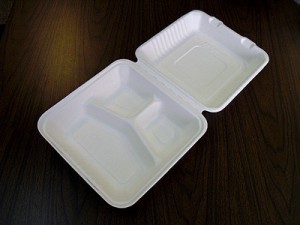 9” Take Out Container